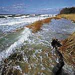 Touristenverband Fischland-Darß-Zingst