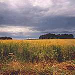 Landschaft Mecklenburg Vorpommern