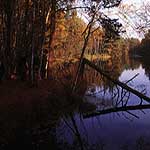 Touristenverband Fischland-Dar&szlig;-Zingst