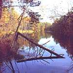 Touristenverband Fischland-Darß-Zingst