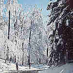 Wintersportgebiet